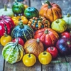 Colorful Autumn Harvest