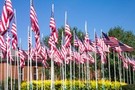 Row of American Flags Waving in Clear Blue Sky FREE Stock Photo, american flags,  united states,  outdoor picture