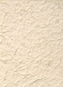 Textured Off-White Paper FREE Stock Photo, paper,  texture,  organic picture