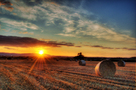 Vibrant Sunset über Heuballen KOSTENLOSES Stock-Photo-Bild, heuballen, sonnenuntergang, feld