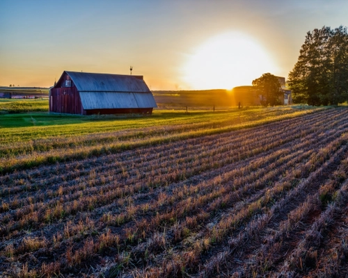 Sonnenuntergang über Feldern KOSTENLOSES Stock-Photo-Bild, Sonnenuntergang,  Scheune,  Landschaft