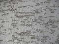 Uneven textured gray wall for industrial backgrounds KOSTENLOSES Stock-Photo-Bild, strukturierte, grau, Wand