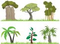 Vector Jungle Tree FREE Stock Clipart, jungle, tree, forest picture