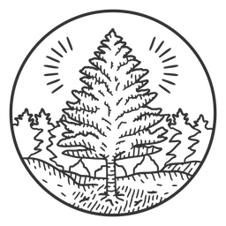 Natural Element Pine Stroke PNG FREE Stock Icon, tree, nature, natural picture