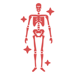 Sparkling Human Bone PNG Art FREE Stock Clipart, skeleton, skull, bone picture