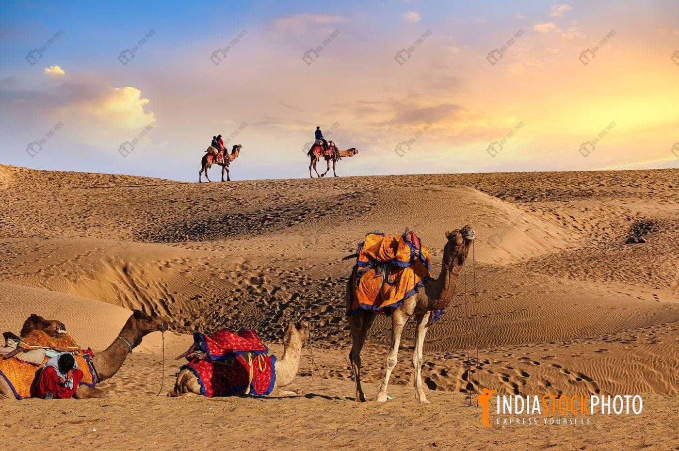 Great Indian desert at Jaisalmer Rajasthan with view of camels at sunset