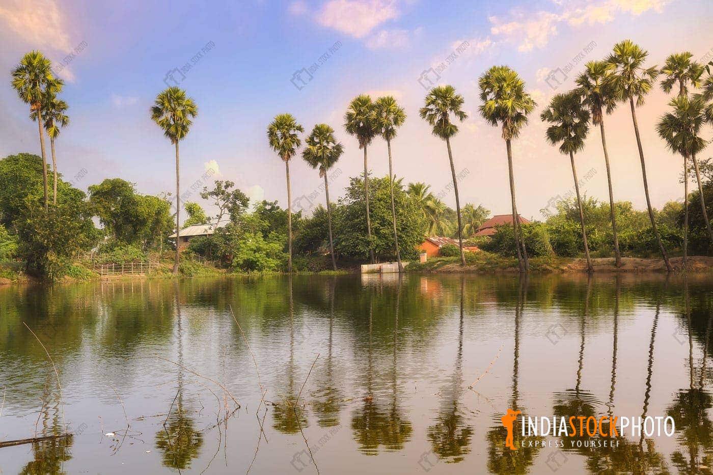 Rural Indian village pond with mud huts and foliage at sunset