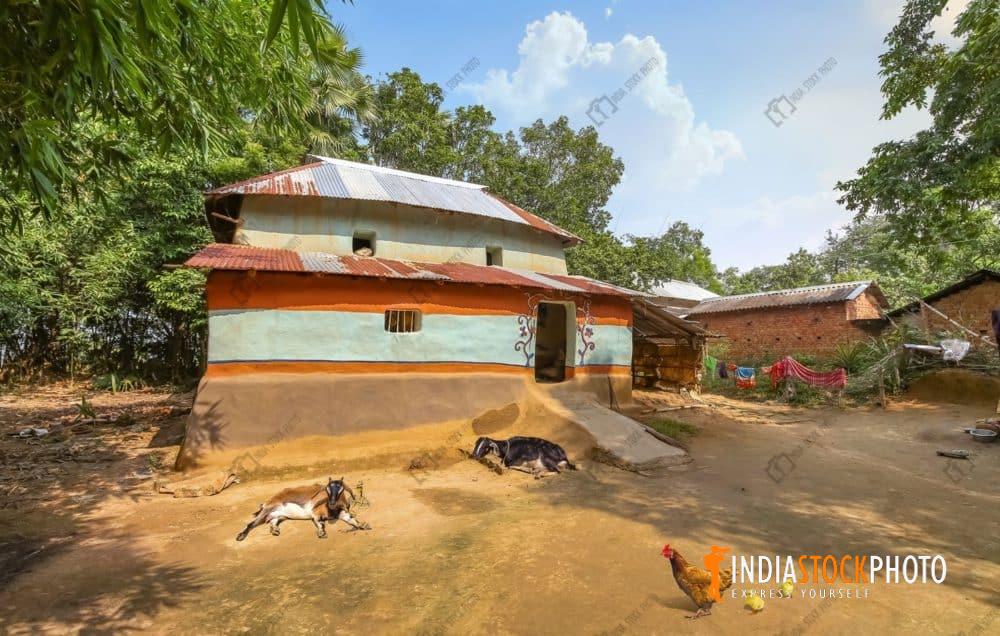 Rural Indian village with mud hut and live stock