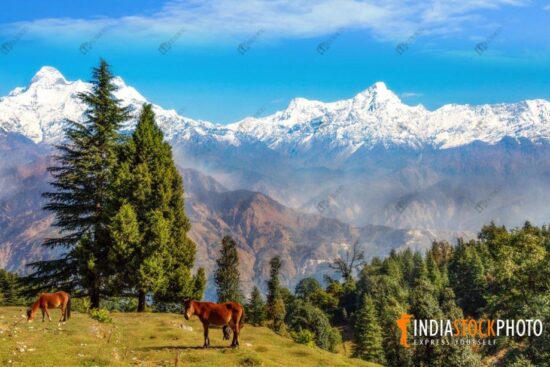 Himalayan landscape at Munsiyari Uttarakhand