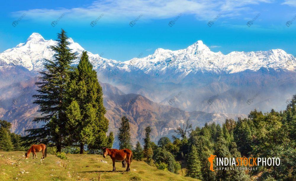 Himalayan landscape at Munsiyari Uttarakhand