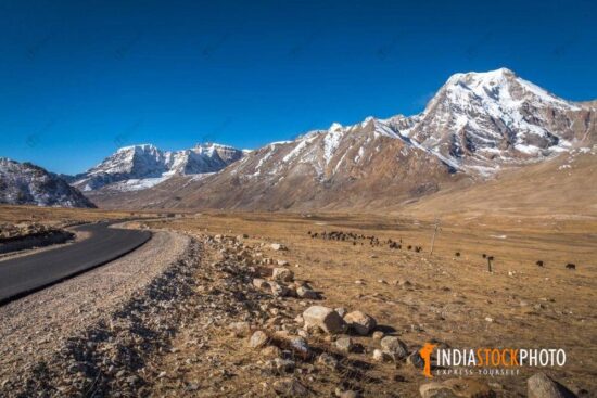 Scenic Himalayan mountain road at Chopta valley North Sikkim