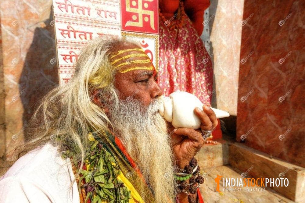Indian sadhu blowing a holy conch shell in closeup view