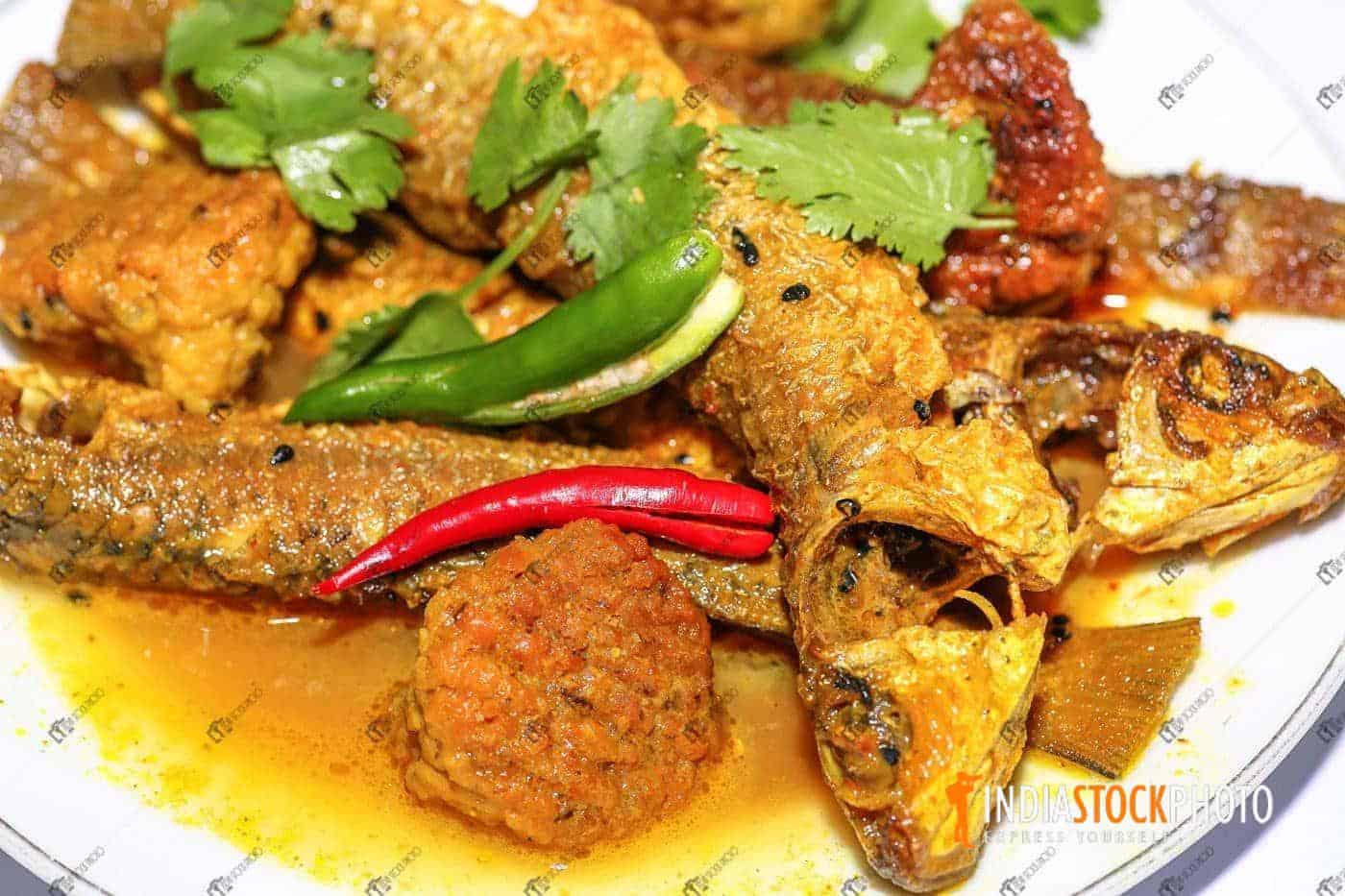 Indian fish curry meal close up macro