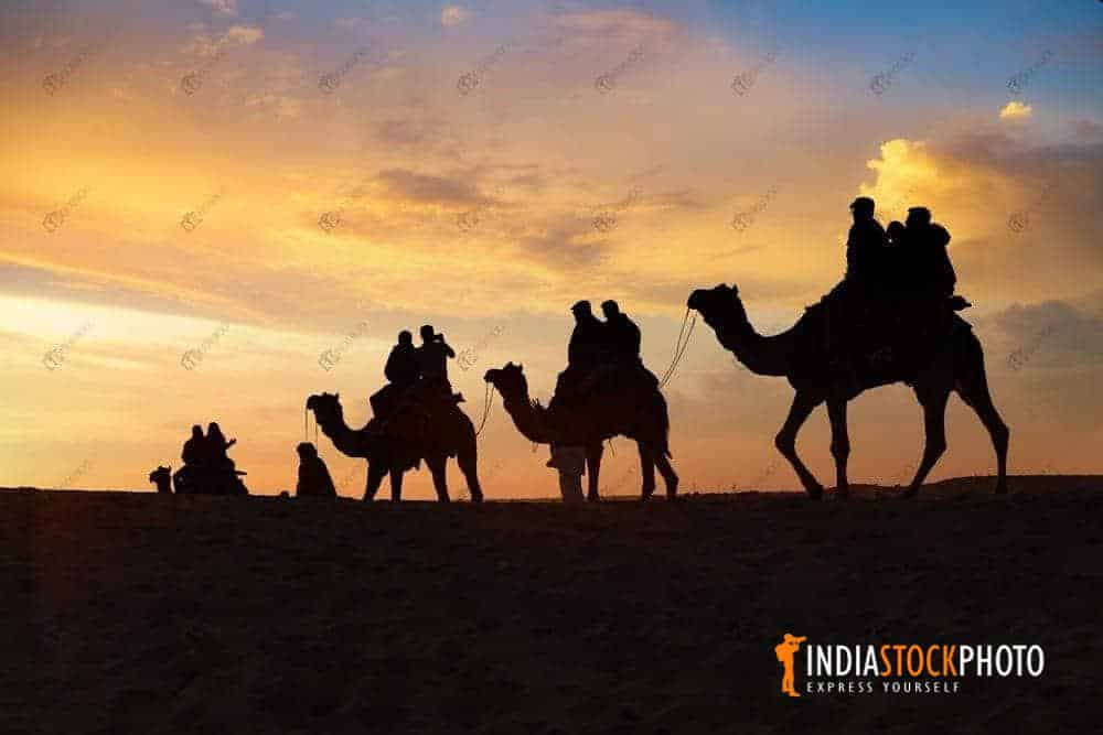 Camel caravan at Thar desert Jaisalmer at sunset