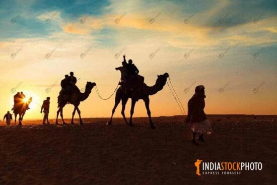 Camel caravan in silhouette at Thar desert Jaisalmer at sunset