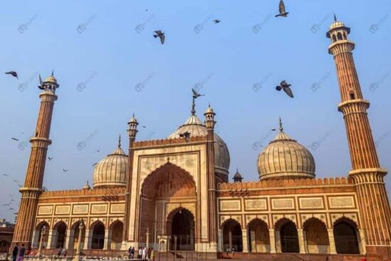 Historic Jama Masjid mosque Delhi with flying pigeons