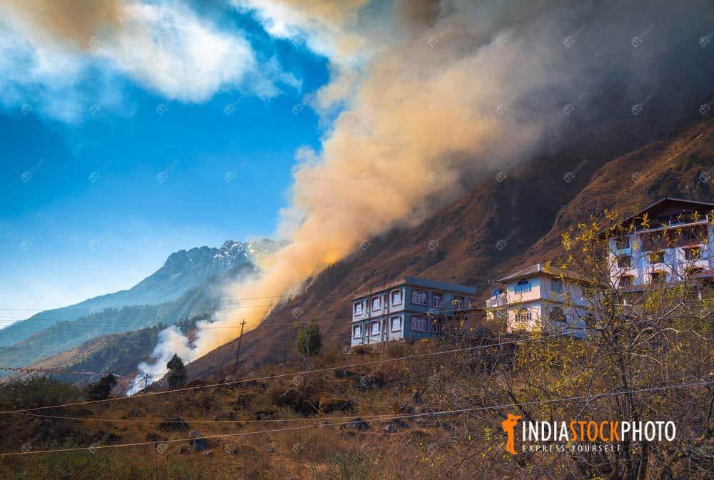 Forest fire on the hills of Lachung Sikkim India