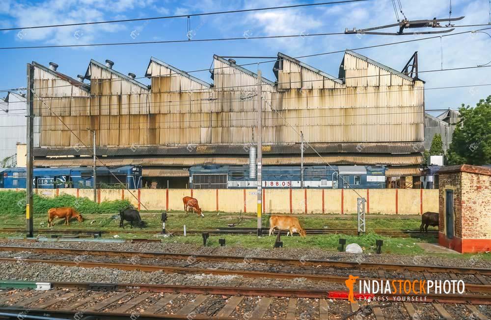 Indian railways loco shed with train tracks