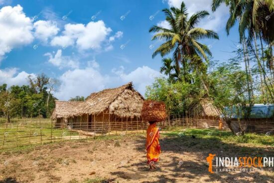Rural woman carrying harvested crop at an Indian village