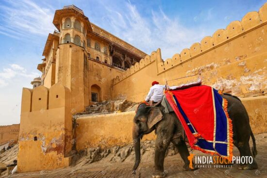 Amber Fort Jaipur with decorated Indian elephant used for tourist ride