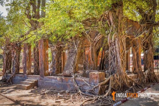 Ancient building ruins at Ross island Andaman India