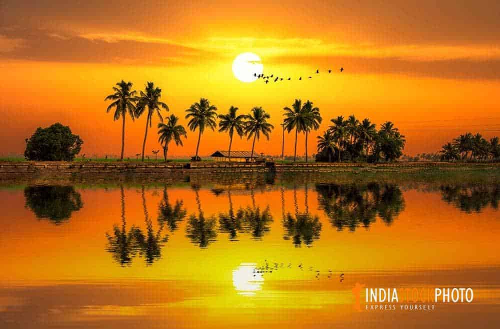 Scenic rural India sunset view at Kerala backwaters