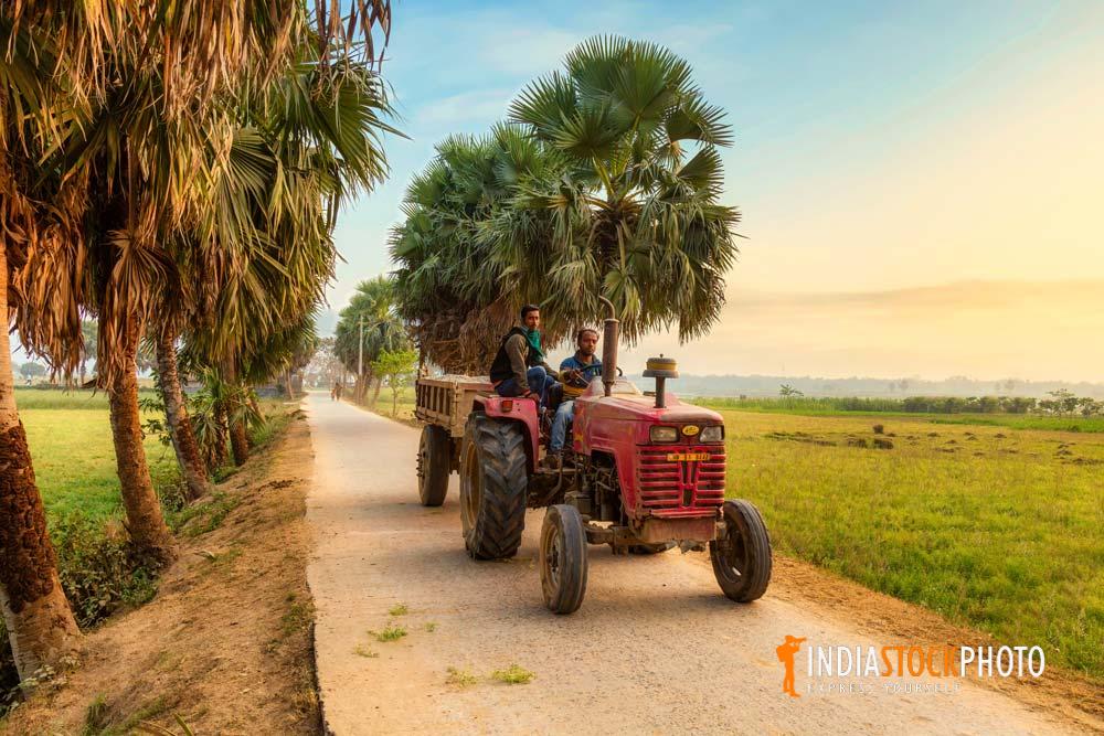 Farming tractor driving down a scenic Indian village road at sunset